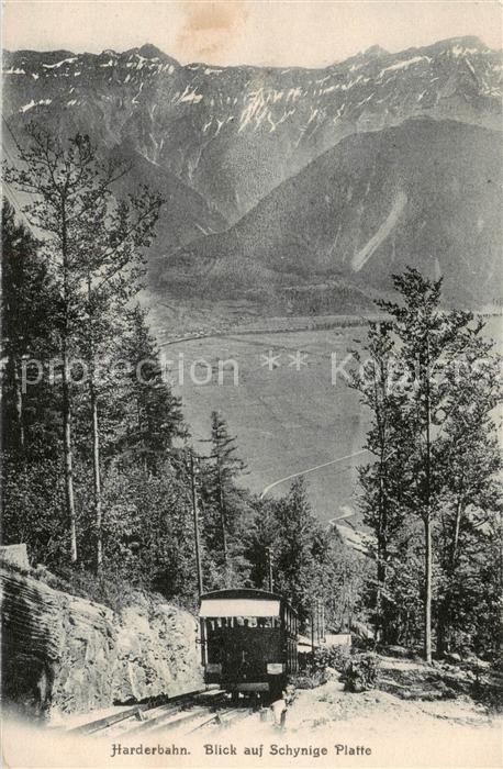 Zahnradbahn Harderbahn Schynige Platte