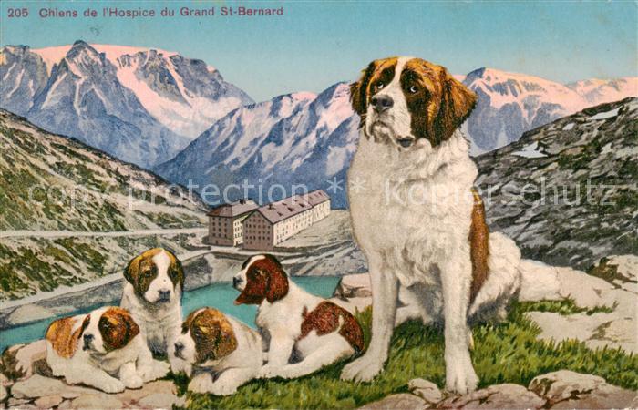Verlag GJG Nr. 205 Grand St Bernard Hunde