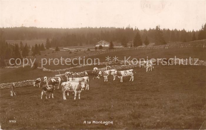 Landwirtschaft Schweiz A la Montagne
