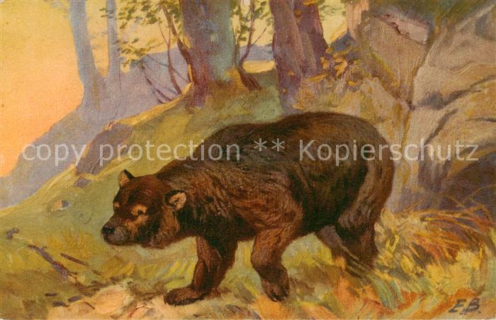 Baeren Baer Litho