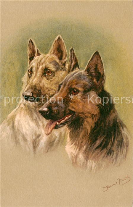Hunde Hunde