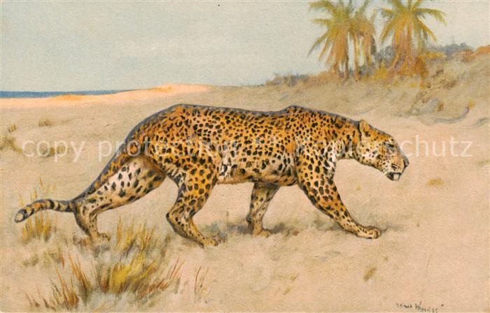 Tiere Leopard