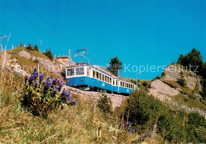 Bergbahn Rigi Arth Rigi Bahn