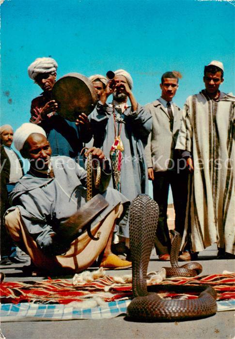 Schlangen Tiere kobra Maroc typiques Charmeurs de Serpents
