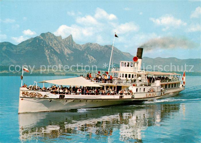 Dampfer Seitenrad Thunersee Bluemlisalp