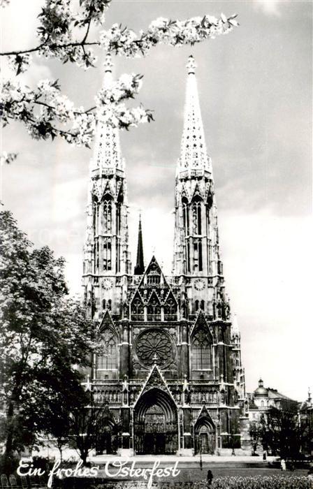 Wien AT Votivkirche Baumbluete