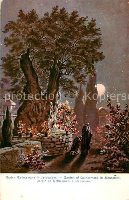 Jerusalem Yerushalayim Garten Gethsemane im Mondschein Kuenstlerkarte Serie 709