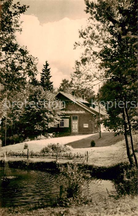 Brotterode Waldschloesschen Gehege Thueringer Wald