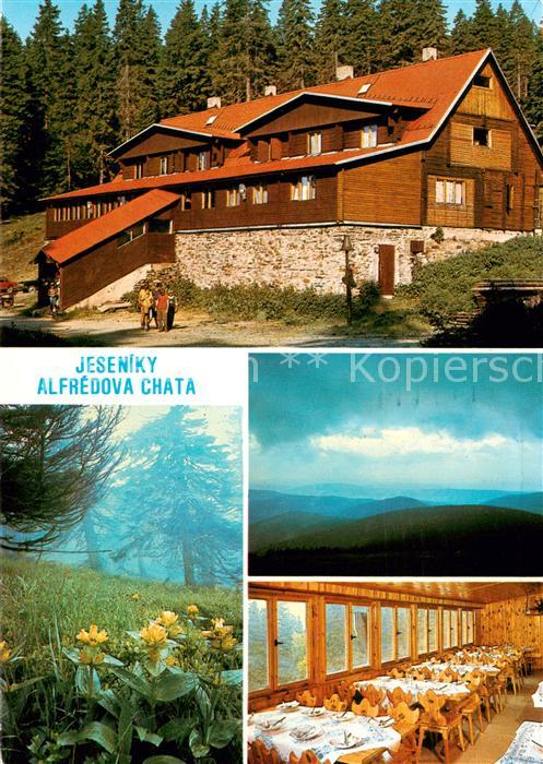 Jeseniky Freiwaldau CZ Alfredova Chata Gaststube