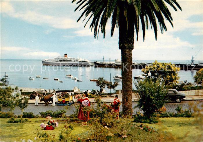 Funchal Madeira PT Panorama