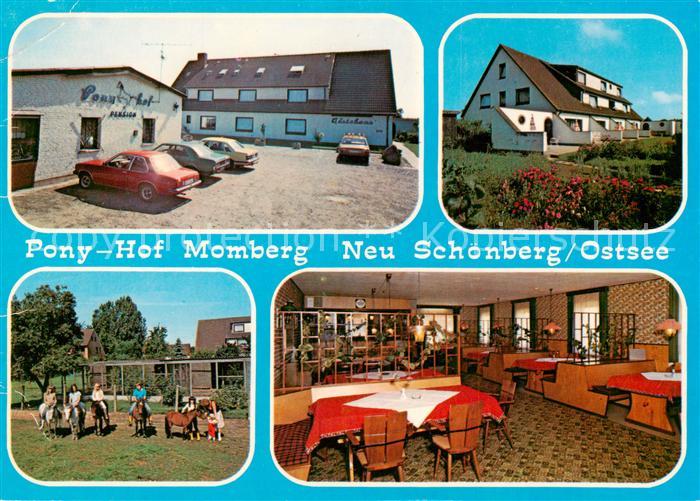 Schoenberg Holstein Pony Hof Momberg Gastraum