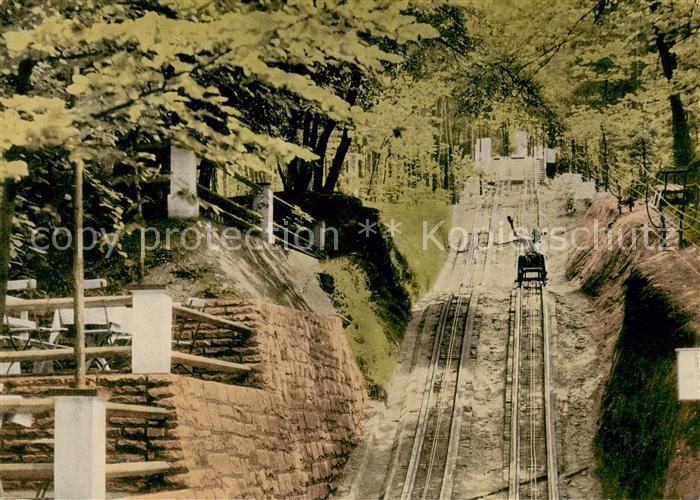 Ibbenbueren Sommerrodelbahn