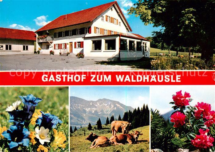 Memhoelz Kempten Allgaeu Gasthof Zum Waldhaeusle