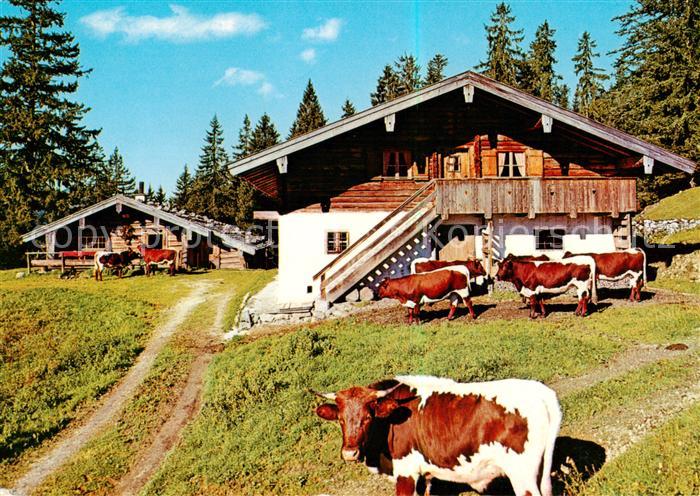 Inzell Traunstein Bayern Kaitl Alm am Rauschberg