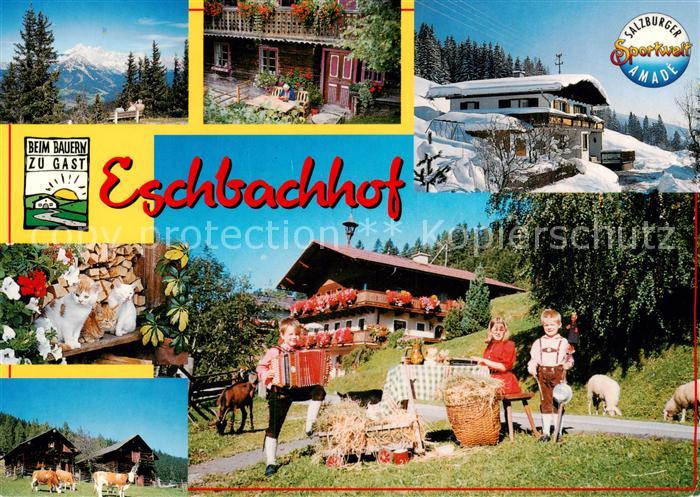 Radstadt AT Eschbachhof Biobauernhof Ferienwohnungen Almhuette Schnapsbrennerei