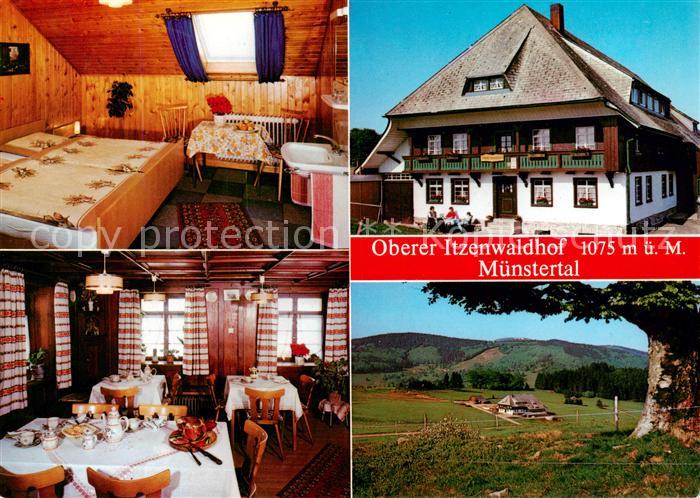 Muenstertal  Schwarzwald Oberer Itzenwaldhof Urlaub auf dem Bauernhof Landschaft