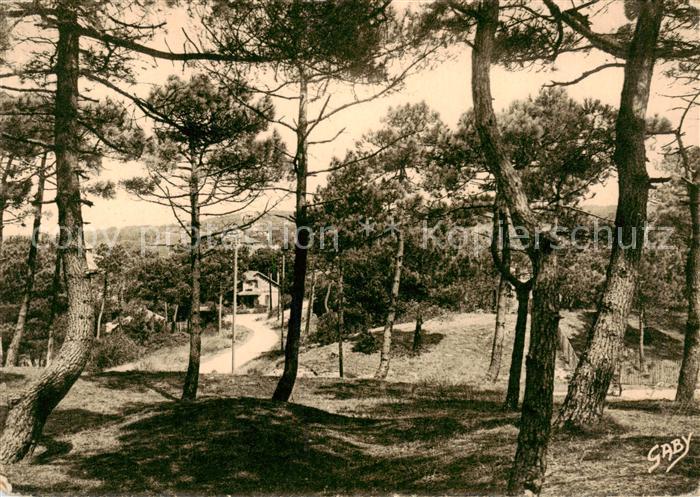 La Baule sur Mer La-Baule-les-Pins 44 Sous-bois