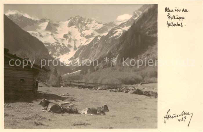 Stilluptal Mayrhofen Zillertal AT Panorama