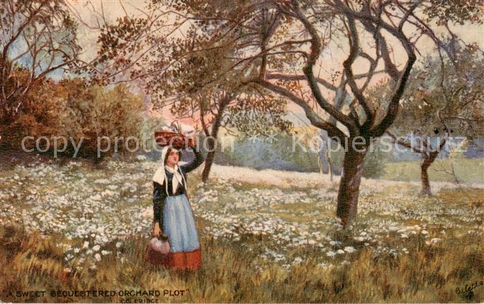 Verlag Tucks Oilette Serie Nr. 953 Blumenwiese