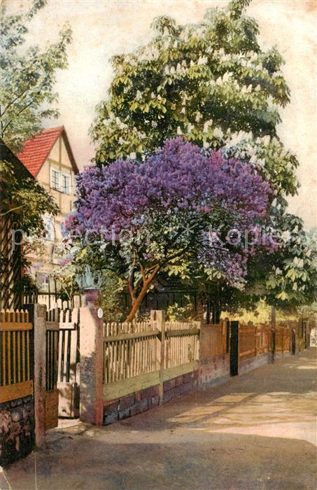 Verlag Baum Straße Litho