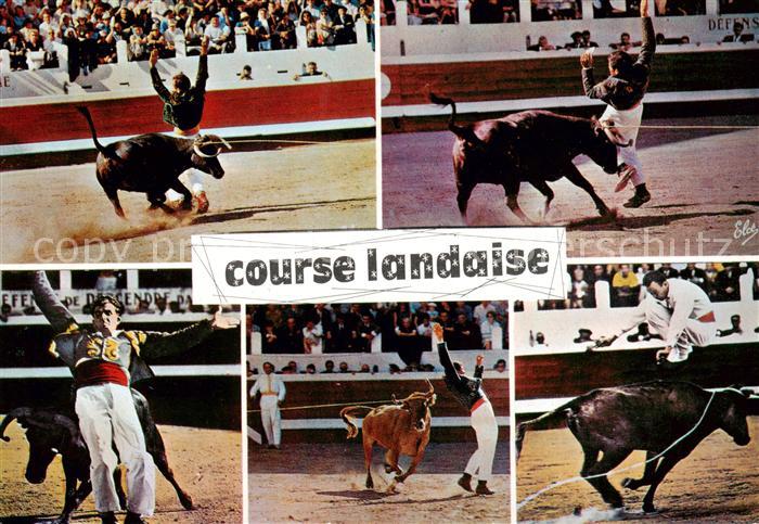 Stierkampf Corrida de Toros Bullfight Course landaise N 2465