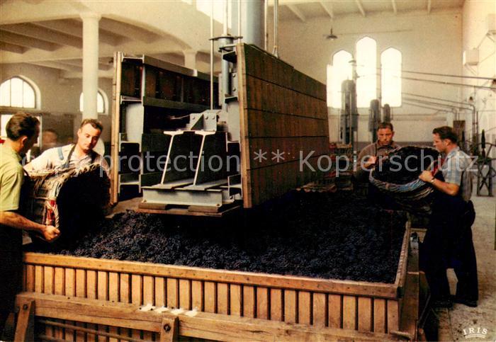 Champagne  Weinregion Pommery-Greno Le Pressoir