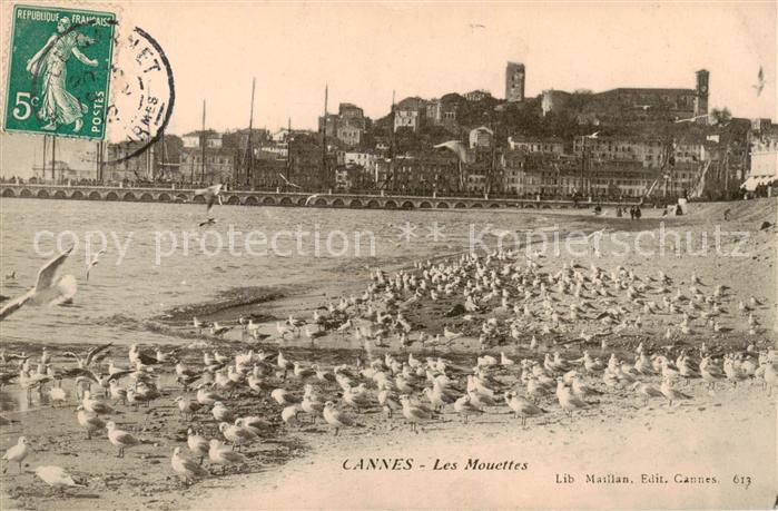 Cannes 06 Les Mouettes