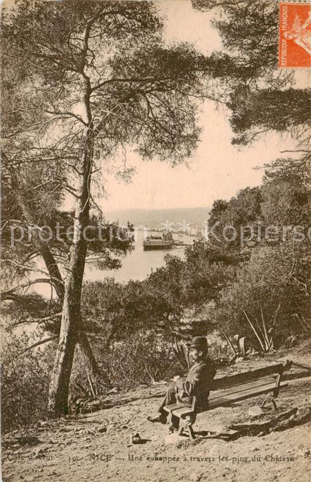 Nice  06 Nizza Echappe a travers les pins du Chateau