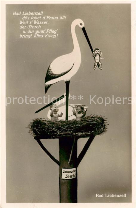 Bad Liebenzell Storchennest Karikatur
