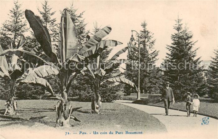 Pau 64 Un coin du Parc Beaumont