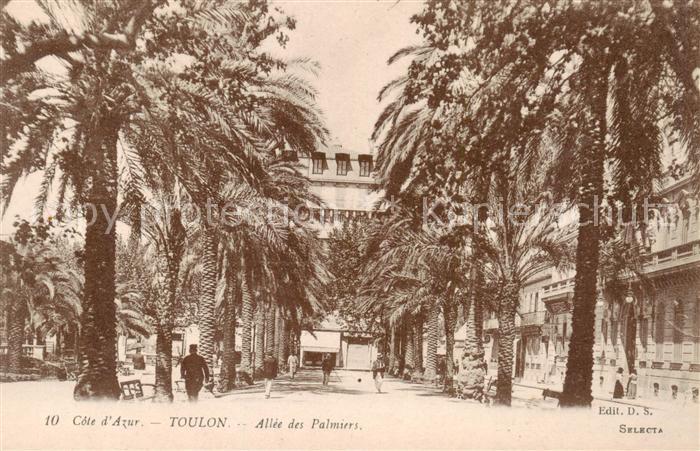 Toulon Var Allee des Palmiers
