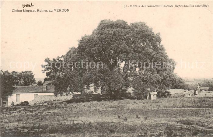 Verdon  51 Marne Chene vert et Ruines au Verdon