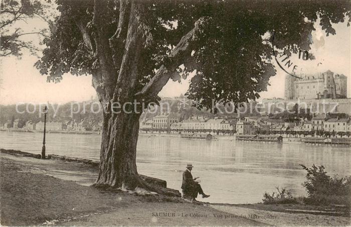 Saumur 49 
Le Coteau Vue prise du Marronnier