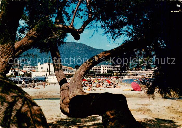 Cavalaire-sur-Mer 83 Var La plage au travers des tamaris