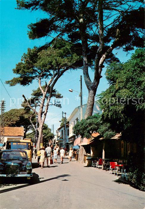 La Capte 83 Var Vue d ensemble