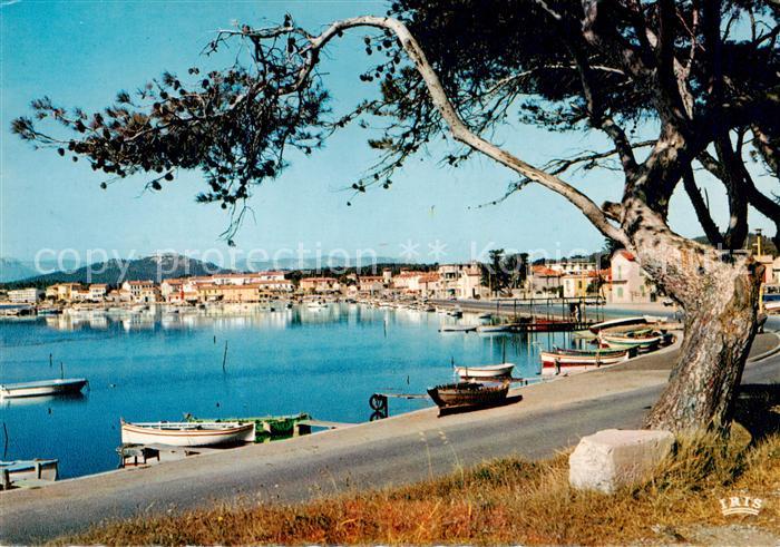 Le Brusc 83 Vue generale