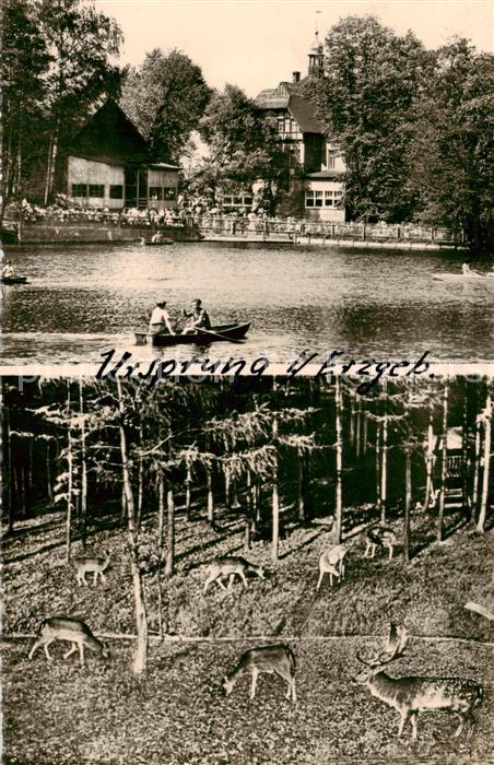 Ursprung Erzgebirge Damhirschzucht in der Kupfermuehle