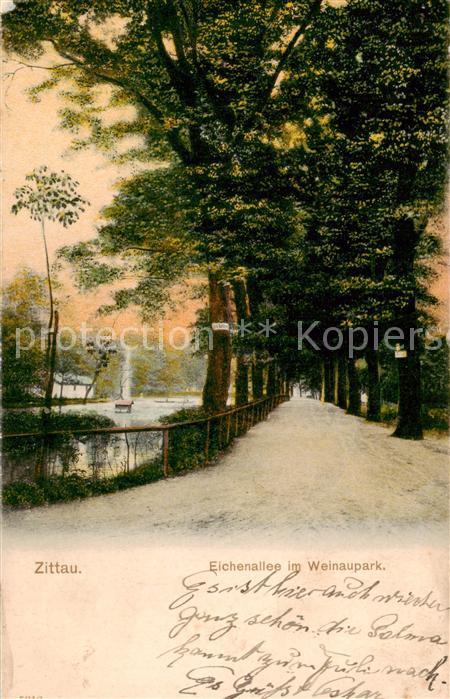 Zittau Eichenallee im Weinaupark