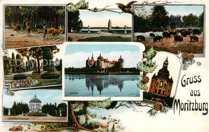 Moritzburg Sachsen Schloss Hochwald mit Rotwild Schlossgarten Fasanenschloessche