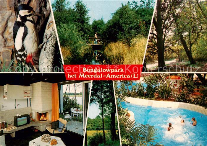 America Horst aan de Maas NL Bungalowpark het Meerdal Details Specht Pool
