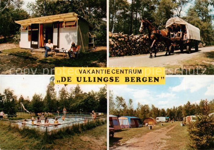 St Anthonis Sint Anthonis Boxmeer NL Vakantiecentrum De Ulligse Beergen Pferdebu