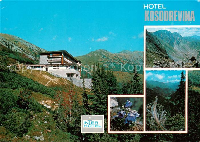 Nizke Tatry Slovakia Hotel Kosodrevina Dumbier Zvoncek alpsky Lomnista dolina