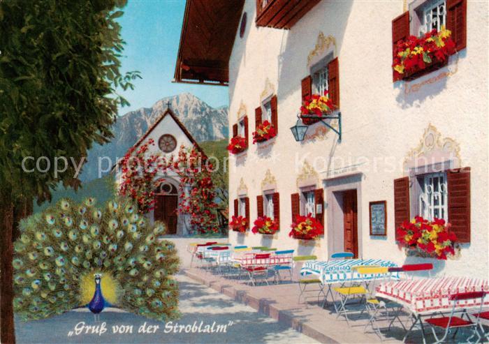 Anger Chiemgau Strobl Alm am Hoegl mit Hochstaufen