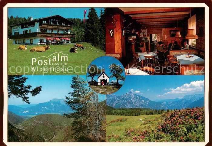 Abtenau Postalm Gasthof Alpenrose Gastraum Panorama