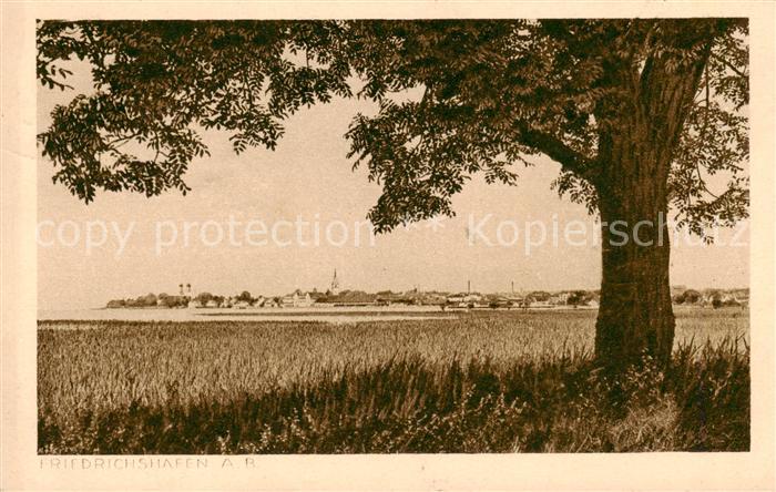 Friedrichshafen Bodensee Panorama