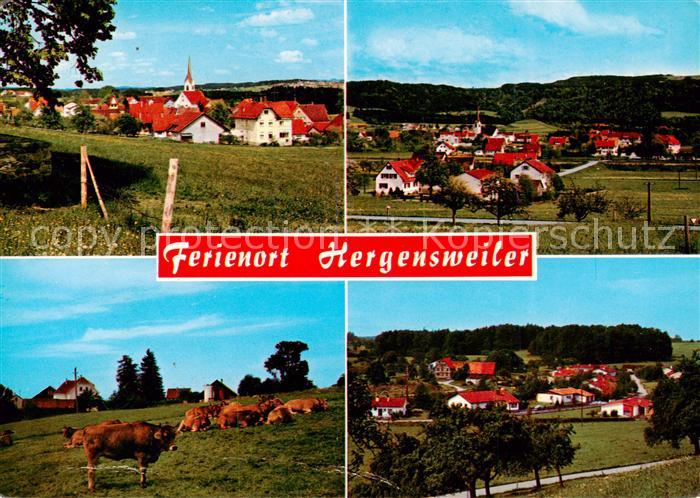 Hergensweiler Feriendorf Panorama