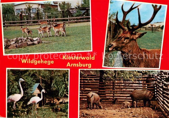 Arnsburg Hessen Gasthaus Pension Zum Klosterwald Wildgehege Details