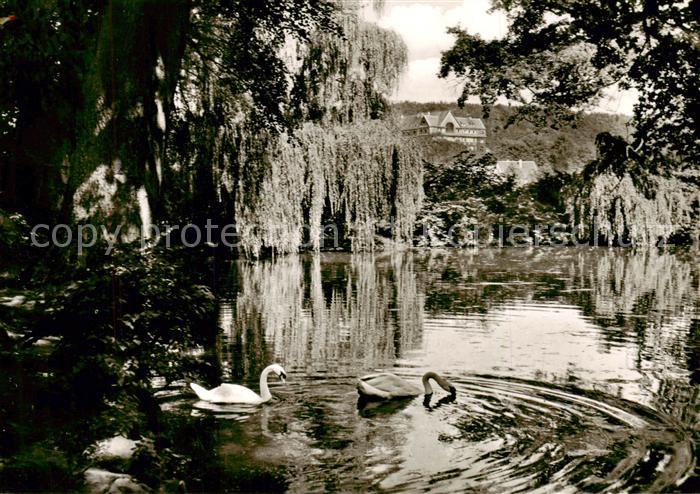 Bad Salzhausen Schwanenteich