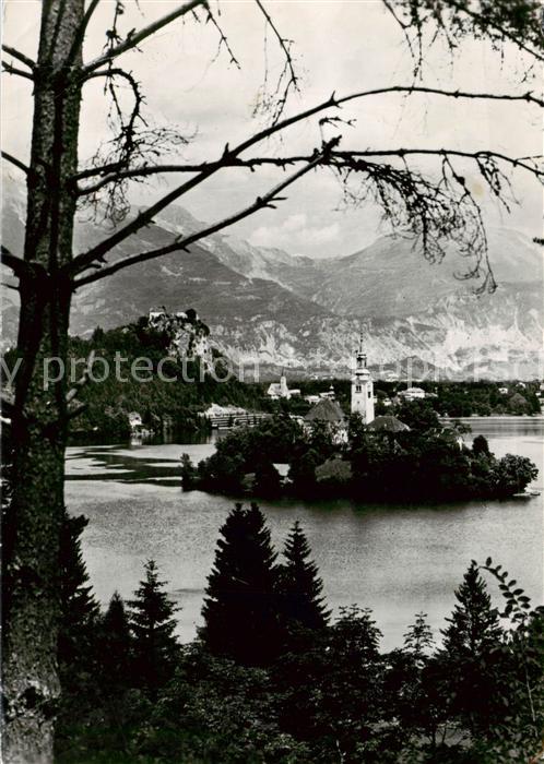 Bled Panorama