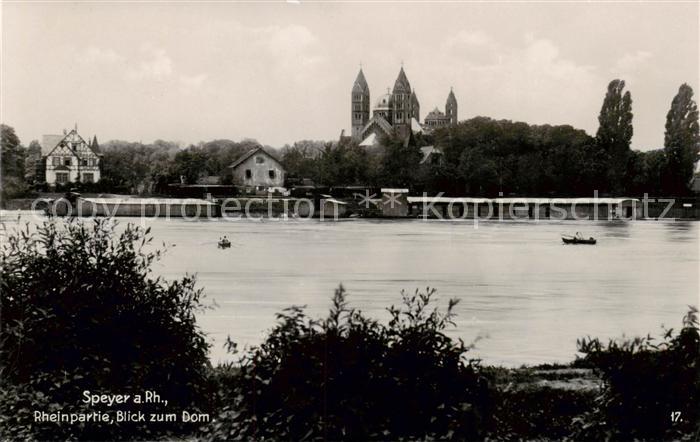 Speyer Rhein Rheinpartie Blick zum Dom